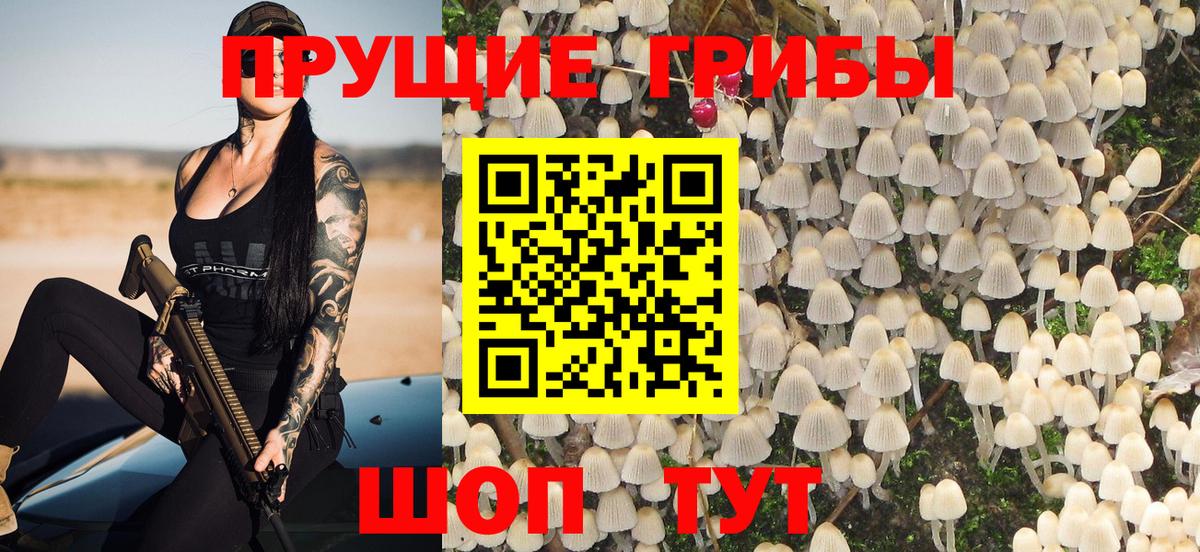 Галлюциногенные грибы прущие грибы Омск