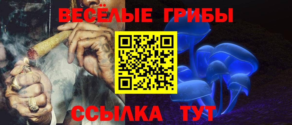 Омск  Псилоцибиновые грибы Psilocybe  Вход с VPN 